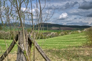 Wiesenthaler Schweiz