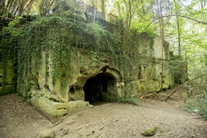 Höhlenkeller Altdorfer Schweiz