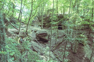 Altdorfer Schweiz Felsen