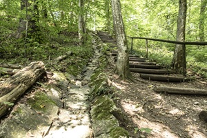 Altdorfer Schweiz Treppe
