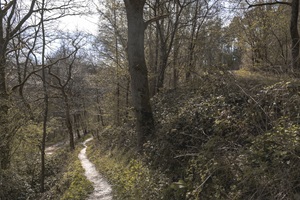 Wanderweg Altlayer Schweiz
