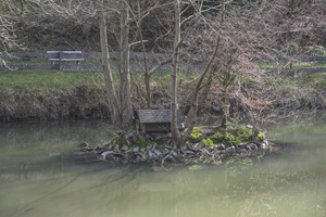 Teich Altlayer Schweiz