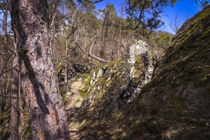 Schieferfelsen Altlayer Schweiz