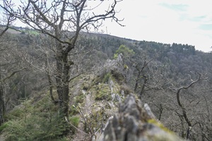 Ausblick Altlayer Schweiz