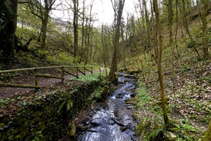 Wanderweg Bernkasteler Schweiz