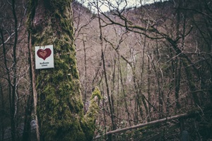 Bernkasteler Schweiz - 04.04.2026