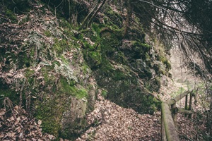 Bernkasteler Schweiz