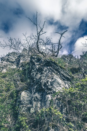 Bernkasteler Schweiz Fels