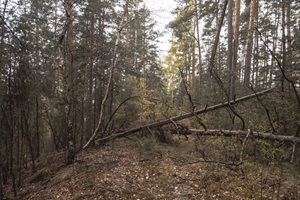 Wanderweg Bockersche Schweiz