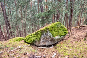 Bockersche Schweiz