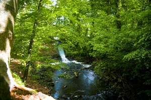 Kümmernitzer Wasserfall Breddiner Schweiz