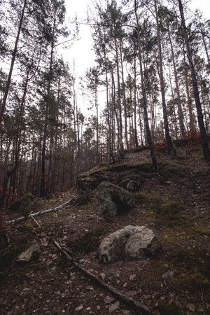 Bucksche Schweiz
