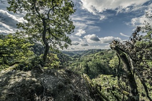 Ausblick Caaner Schweiz