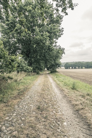 Wanderweg Clenzer Schweiz