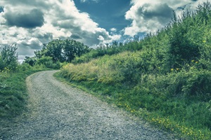 Wanderweg Halde Schleswig Dortmunder Schweiz