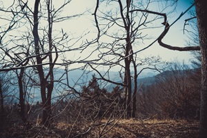 Ausblick Eichsfelder Schweiz