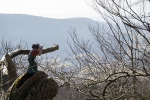 Eichsfelder Schweiz