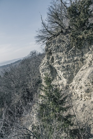 Dietzenröder Stein Eichsfelder Schweiz