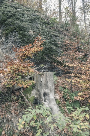 Felsen Fehrenbacher Schweiz
