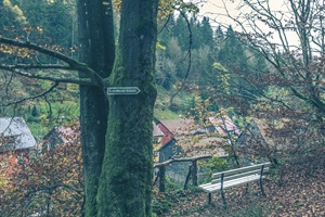 Aussicht Fehrenbacher Schweiz