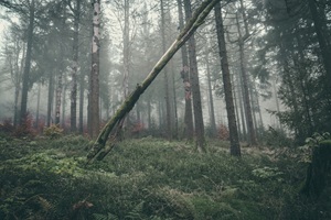 Thüringer Wald Fehrenbacher Schweiz