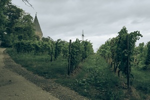 Flörsheimer Schweiz