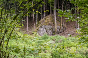 Felsen Fränkische Schweiz Wald