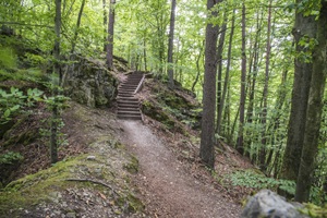 Wanderweg zum Zeckenstein