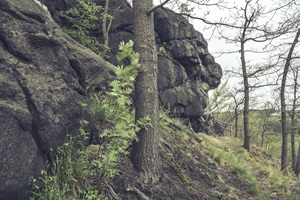 Garsebacher Schweiz Pechsteinklippe