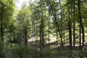 Haibacher Schweiz
