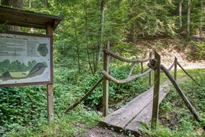 Brücke Haibacher Schweiz