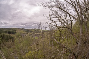 Hetzdorfer Schweiz