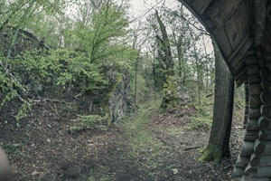 Teufelsbrücke Hetzdorfer Schweiz