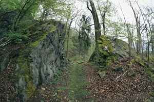 Teufelsbrücke Hetzdorfer Schweiz