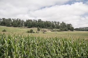 Hohburger Berge