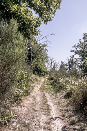 Wanderweg Hohburger Schweiz