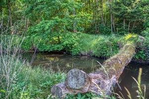 Naturbrücke Böhme Honerdinger Schweiz