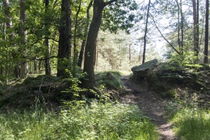 Wanderweg Honerdinger Schweiz