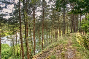 Wanderweg Honerdinger Schweiz