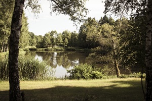 Teich Borg
