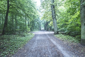 Wanderweg Lüneburger Schweiz