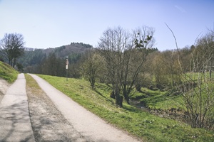 Wanderweg Lützbachtal Lützer Schweiz