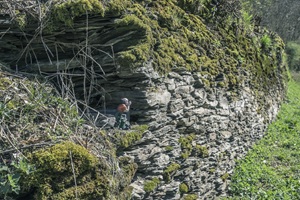 Lützer Schweiz