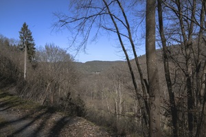 Ausblick Lützer Schweiz