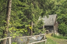 Waldhütte Madfeld