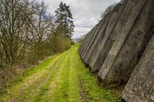 Maringer Schweiz - 03.04.2026