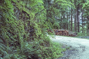 Mehringer Schweiz