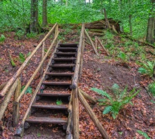 Treppe Mehringer Schweiz