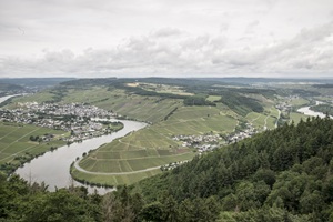 Moselblick Mehringer Schweiz