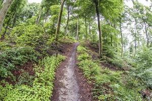 Wanderweg Mehringer Schweiz